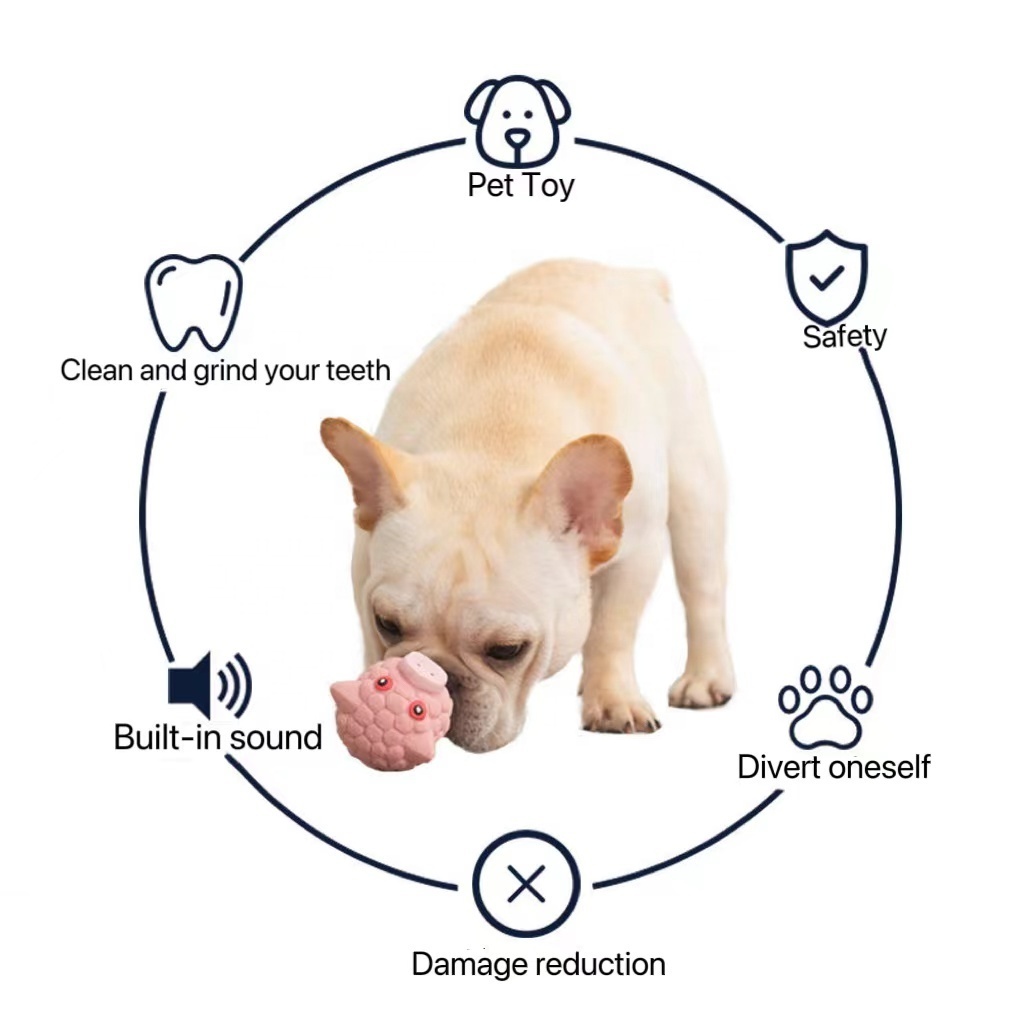 Sound Latex Interactive Molar Teeth Cleaning Pet Chew Toy Manufacturer's Squeak Toys for Puppy & Dog for Training & Exercise