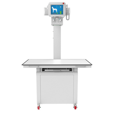 Medical Radiology Diagnostic Equipment High Frequency 20kW Digital Veterinary X ray Machine