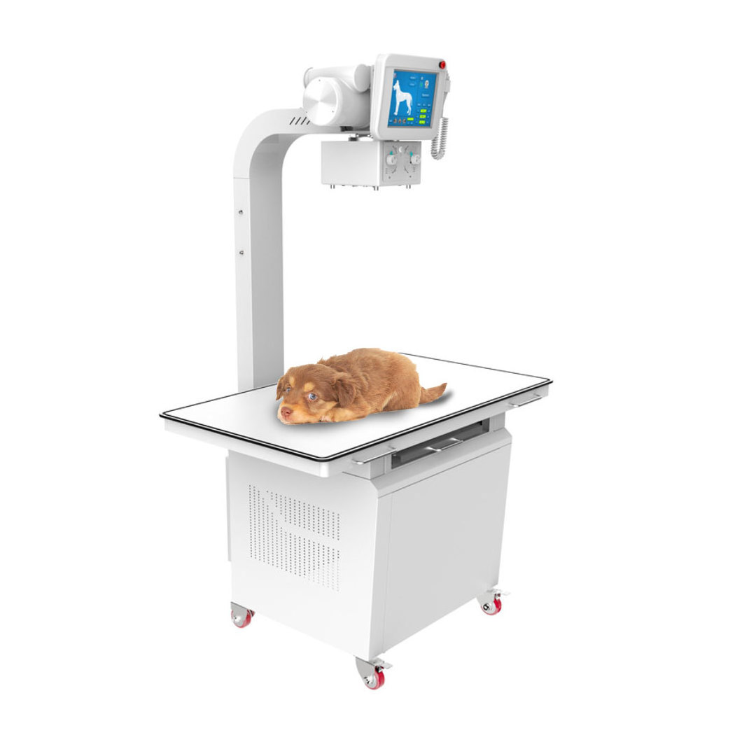 Medical Radiology Diagnostic Equipment High Frequency 20kW Digital Veterinary X ray Machine