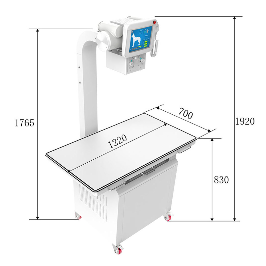 Medical Radiology Diagnostic Equipment High Frequency 20kW Digital Veterinary X ray Machine