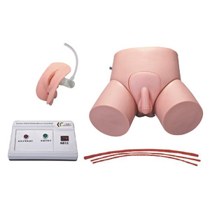 H-D Electronic Urethral Catheterization Advanced enema medical training manikin model