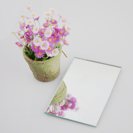 Manufacturer Mirror Custom Shatterproof Aluminium Framed Plastic Wall Mirror