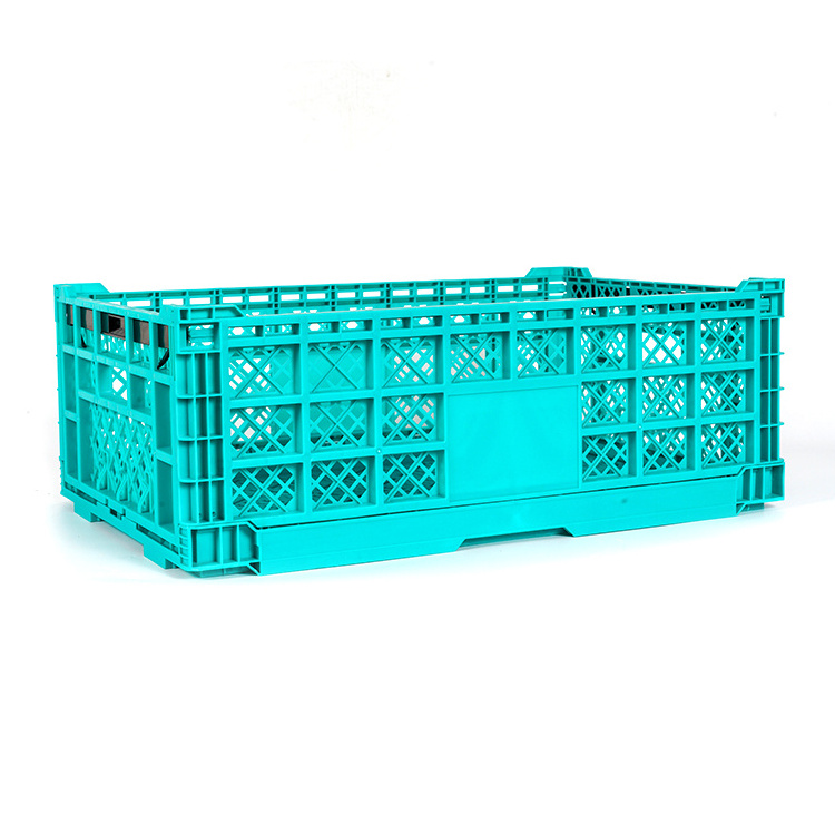 Plastic Transport Pigeon Cage Hot Sale Chicken Transport Cages