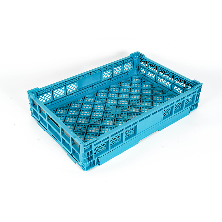 Plastic Transport Pigeon Cage Hot Sale Chicken Transport Cages