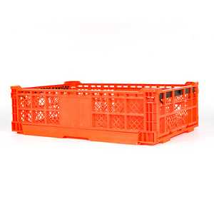 Plastic Transport Pigeon Cage Hot Sale Chicken Transport Cages