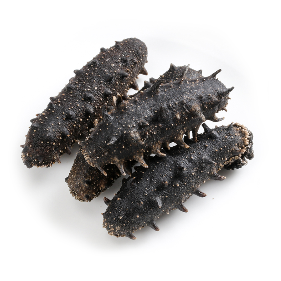 Hot taste with better Sea Cucumber with extra price and awesome price suitable for customer