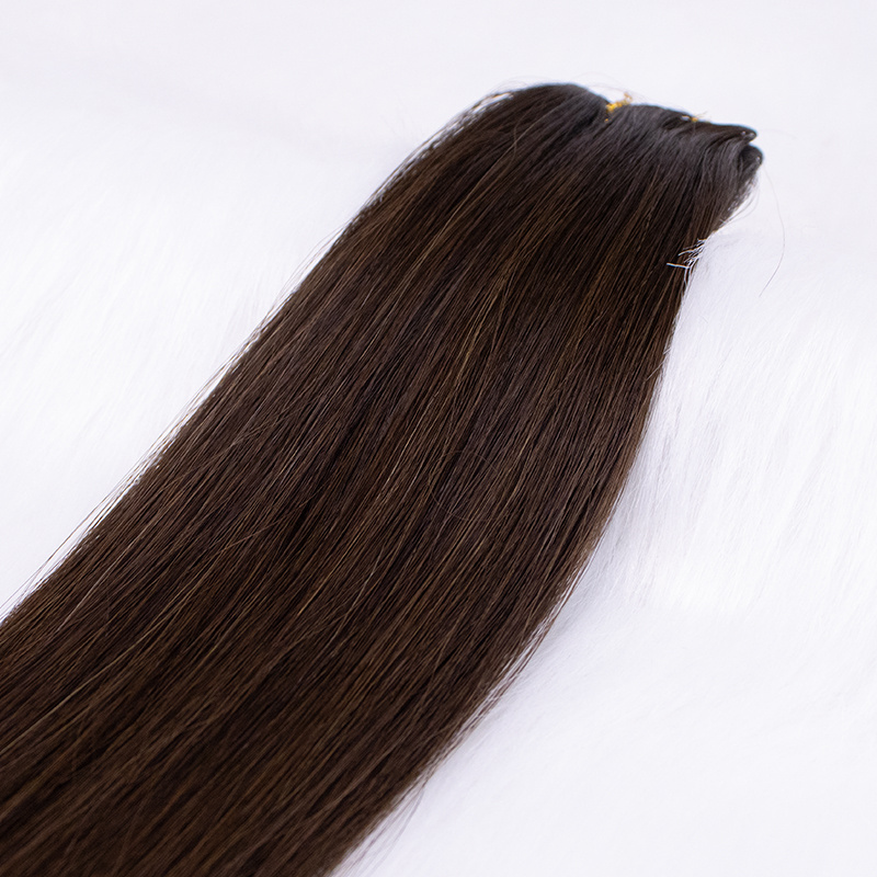 Invisible Genius Weft Hair Extension 12a Double Drawn Virgin Russian Seamless Pu Skin New Genius Weft