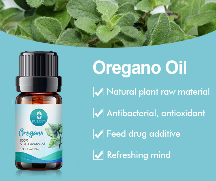 Factory wholesale bulk private label 100% pure natural oregano oil price origanum oil with 90% carvacrol