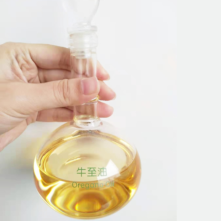 Bulk packed oregano oil  price private label OEM oregano essential oil pure natural plant extract oregano oil for skin care