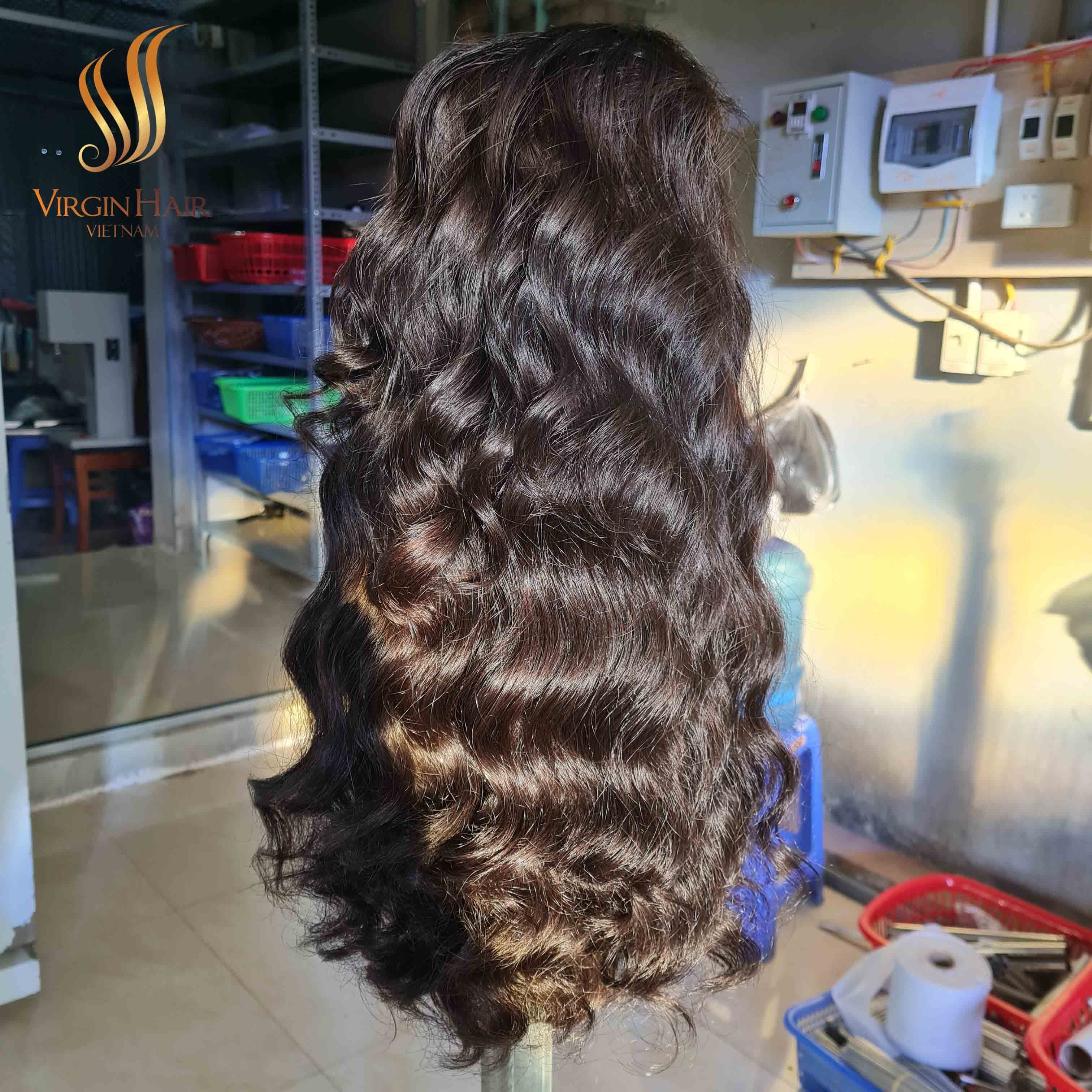 Vietnamese Raw Hair Wigs Natural Wavy HD Lace Closure Raw Cuticle Aligned Vietnamese Human Hair