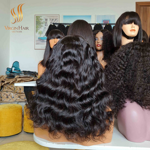 Vietnamese Raw Hair Wigs Natural Wavy HD Lace Closure Raw Cuticle Aligned Vietnamese Human Hair