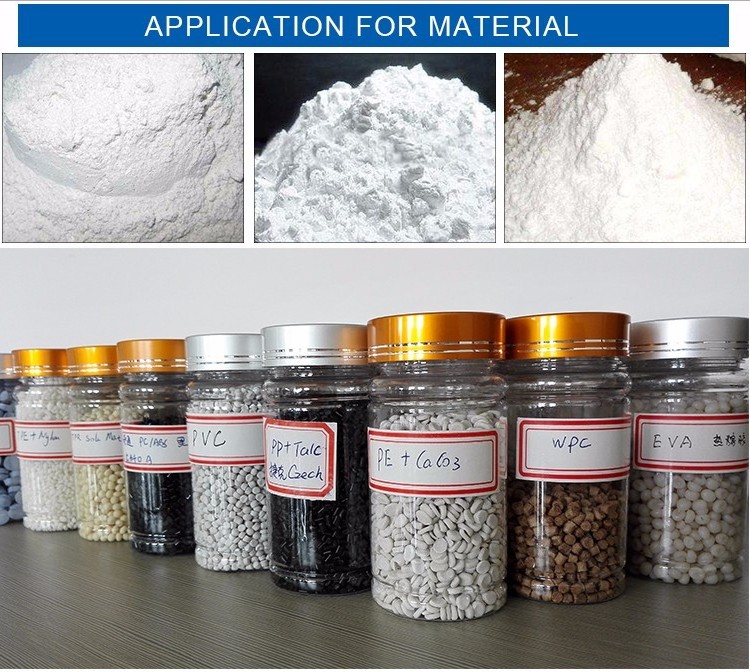 EPO/EPS/EPP Twin Screw Extruder Machine Granules Pellets Foam Beads Polypropylene Plastic Pelletizer