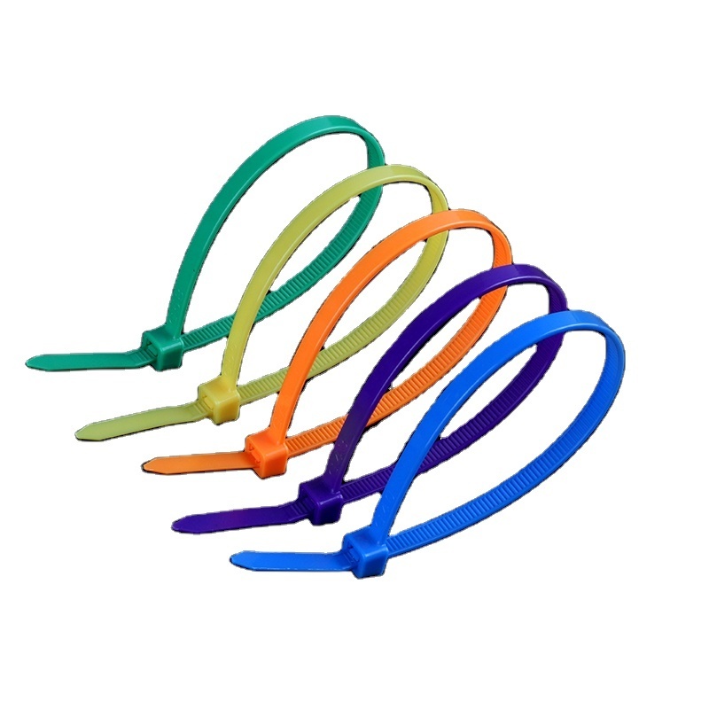 Haitai Manufacturer Wholesale 100pcs Package All Colors self- Lock Nylon Cable Tie