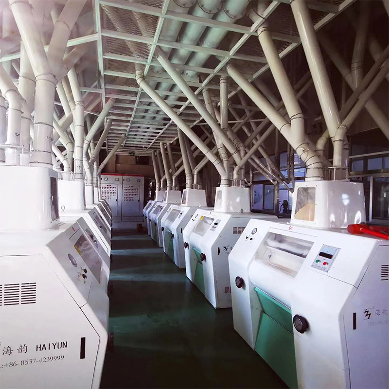 Buckwheat Semolina 200 Ton Per Day Flour Mill Complete Production Line Milling Machine