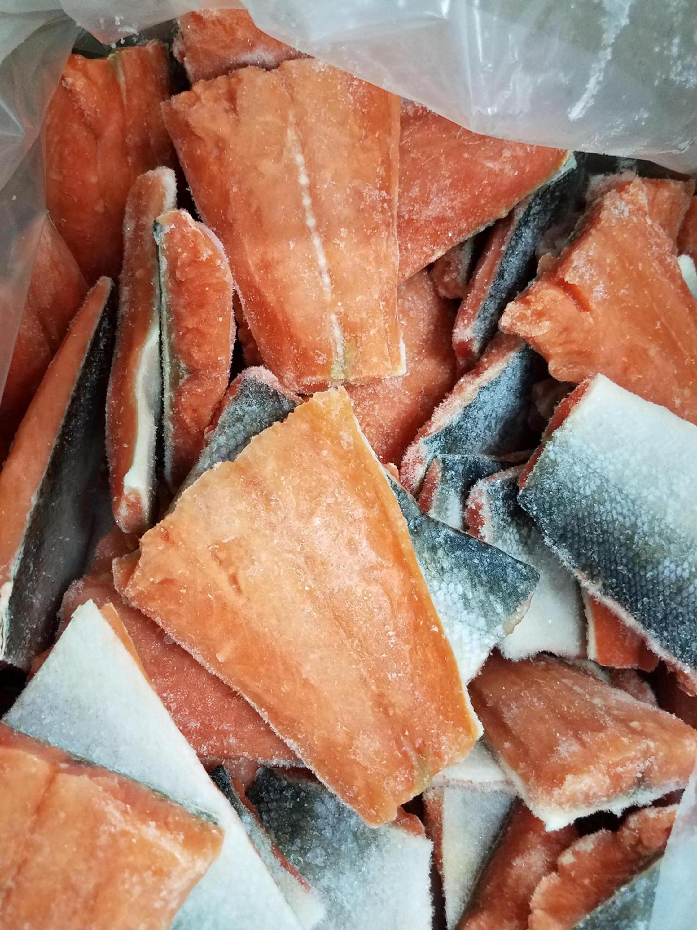 Wholesale Fresh Frozen Pacific Salmon Wild Caught  (alaska)