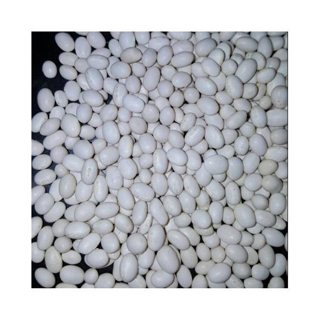 Wholesale Healthy Fresh High Quality SC2 Specification Ethiopian Navy Beans White Pea Beans From Ethiopia