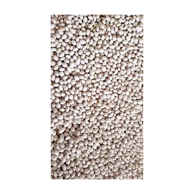 Wholesale Healthy Fresh High Quality SC2 Specification Ethiopian Navy Beans White Pea Beans From Ethiopia