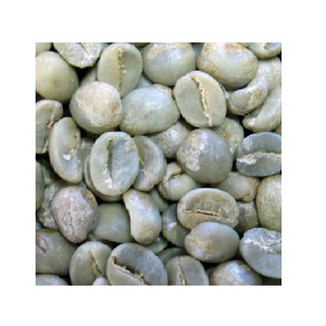 AFRICAN ETHIOPIAN ARABICA 6 MM bulk green coffee beans for sale