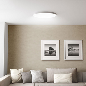 High Brightness CE Indoor Living Room Bedroom Round Ceiling Light 30w 45w 60w Led Ceiling Light