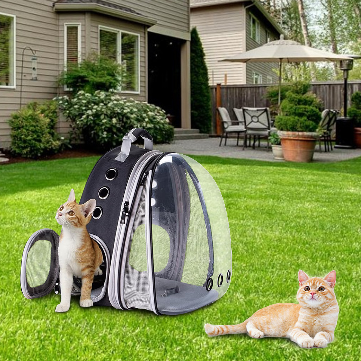 Fit up to 12 lbs Space Capsule Bubble Window Pet Carrier Back Expandable Cat Backpack Carrier for Cat for Small Puppy