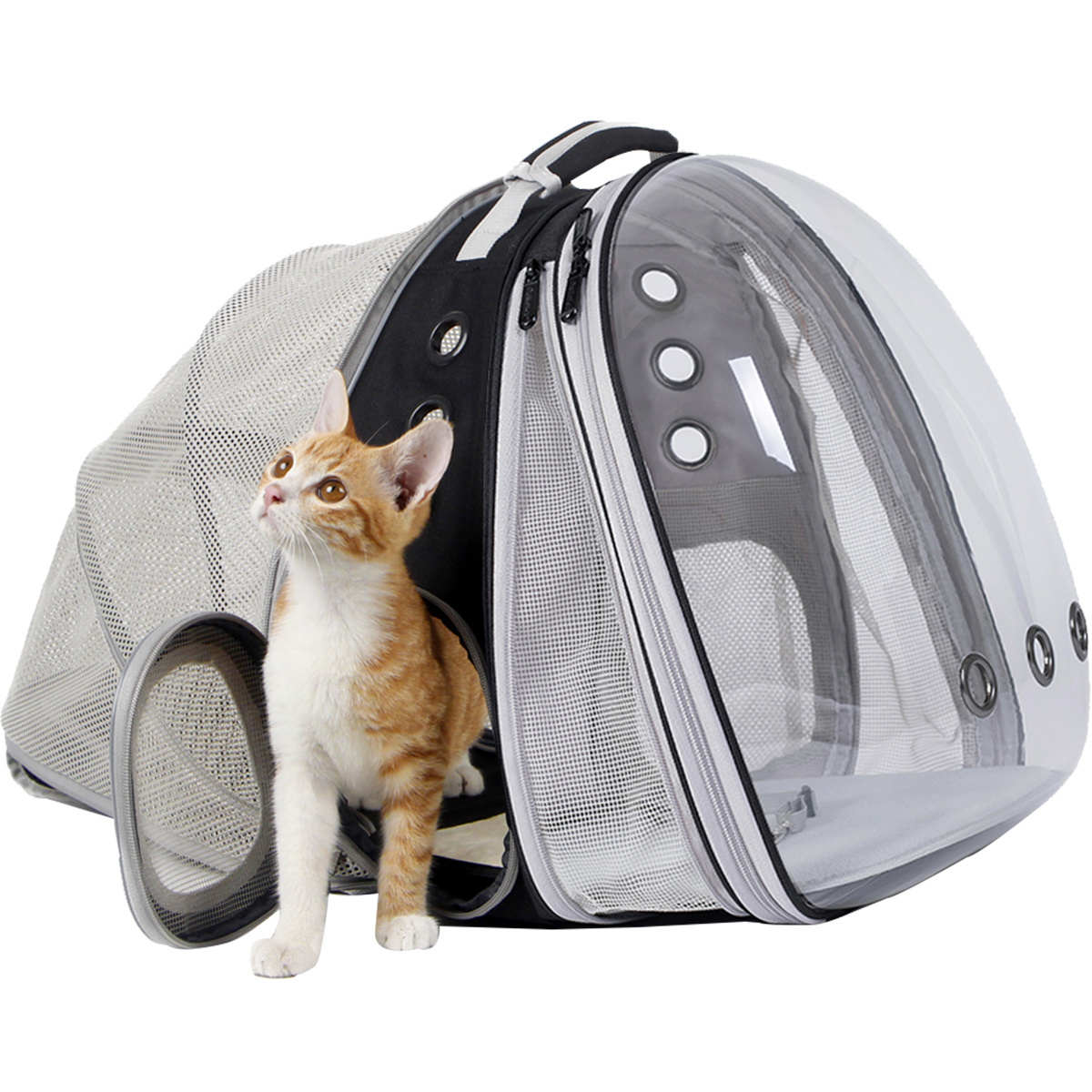 New Product Expandable Clear Bubble Cat Backpack Carrier for Small Puppy and Large Fat Cat for Vet Transport Pet Book Bag