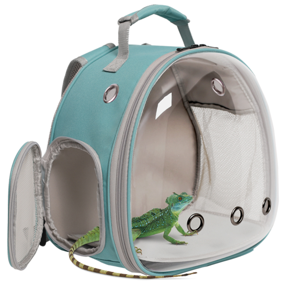 Direct Selling Bearded Dragon Carrier Lizards Carrier Small Animal Travel Carrier for Lizard