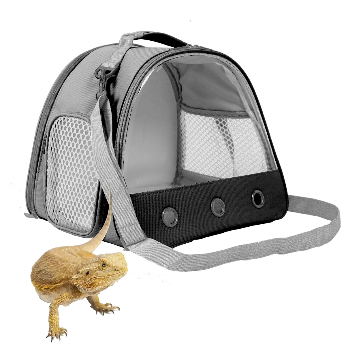 Wholesale lizards Carrier Small Animal Travel Carrier Bearded Dragon Carrier