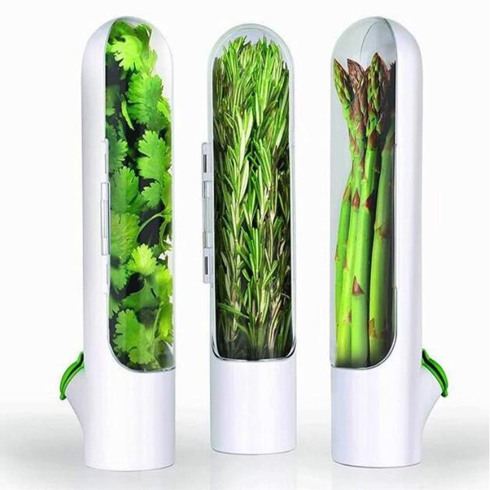 Y1    Herb & Spice Tools Freshness Transparent Refrigerator Fresh Herb Keeper Storage Plastic Spice Jar Spices Herbs Container