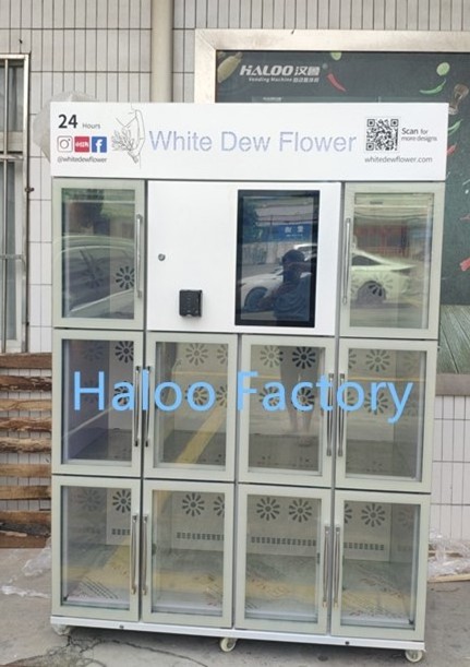 HL-XHJ-Y-1A Haloo 4G Wifi Network Slim Flower Vending Machine With Refrigeration and Humification