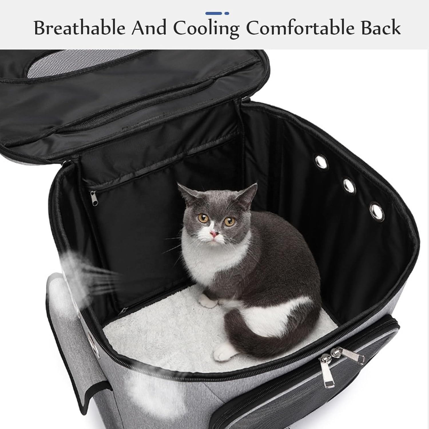 Pet Travel Carry Cat with Storage Cat Backpack Removable roller Multi-purpose backpack Stroller Dog Breathable puppy Travel bag