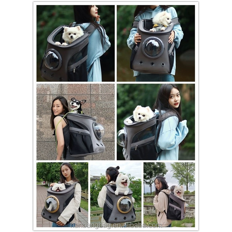 Fat Cat Backpack Carrier Airline Approved Cat Carrier with Space Capsule Bubble for for Small Cats Kitten