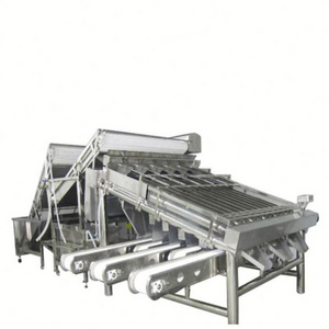 shrimp processing cleaning shrimp peeling machine for sale shrimp peeling