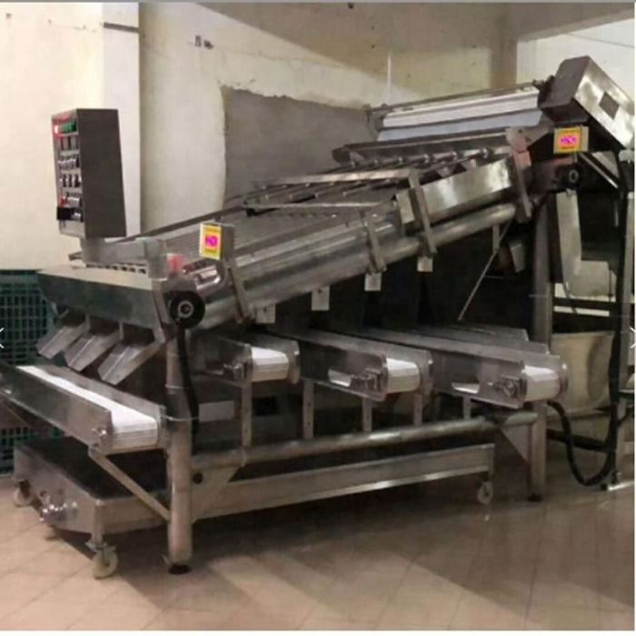 shrimp processing cleaning shrimp peeling machine for sale shrimp peeling