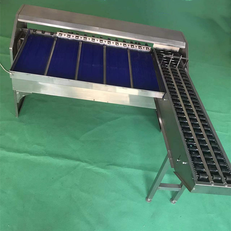 egg grading machine/egg sorting machine/egg grader for sale