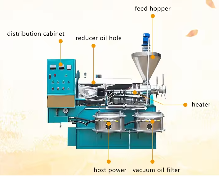 Cold Pressed Black Seed Avocado Machine Argan Amaranth Almond Squeezing Screw 3 T/h Automatic Oil Press Extraction