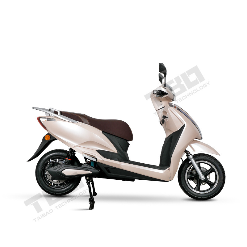 Electrica in One Bike for Adults Electric Bicycle with Super Motors for High Speed E-Bike E-Scooter