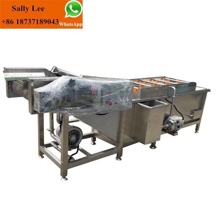 Bubble Tomato Washing Line Drying Machine Corn Fruit Washer Vegetable Onion Washer Cleaning Machine