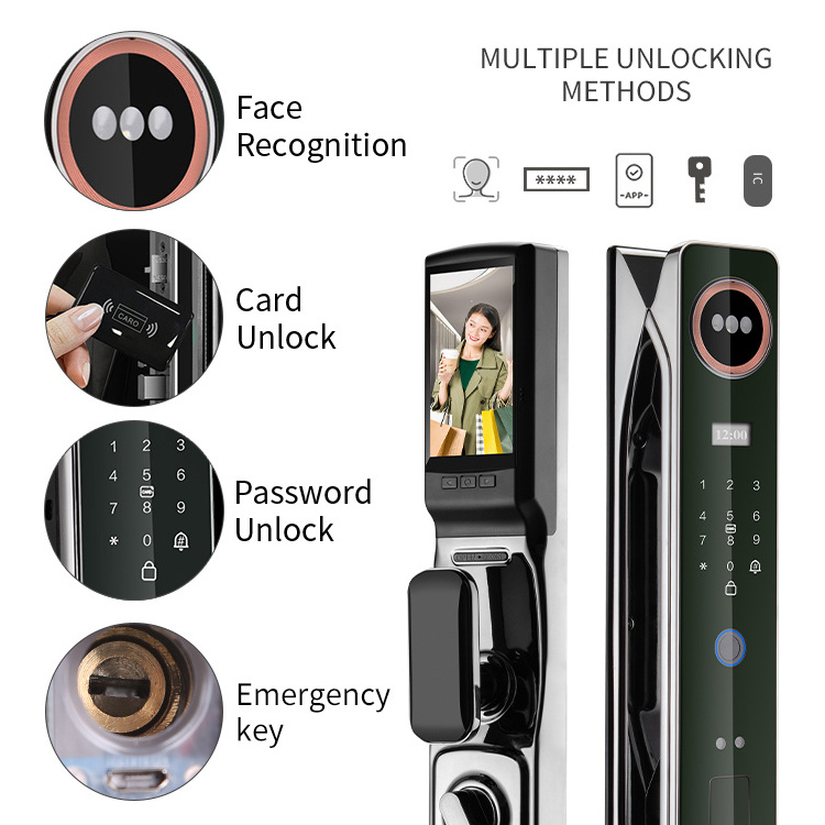 Face Recognition Digital Door Lock Biometric Fingerprint RFID Intelligent Security Video Intercom Push Pull Smart Door Lock