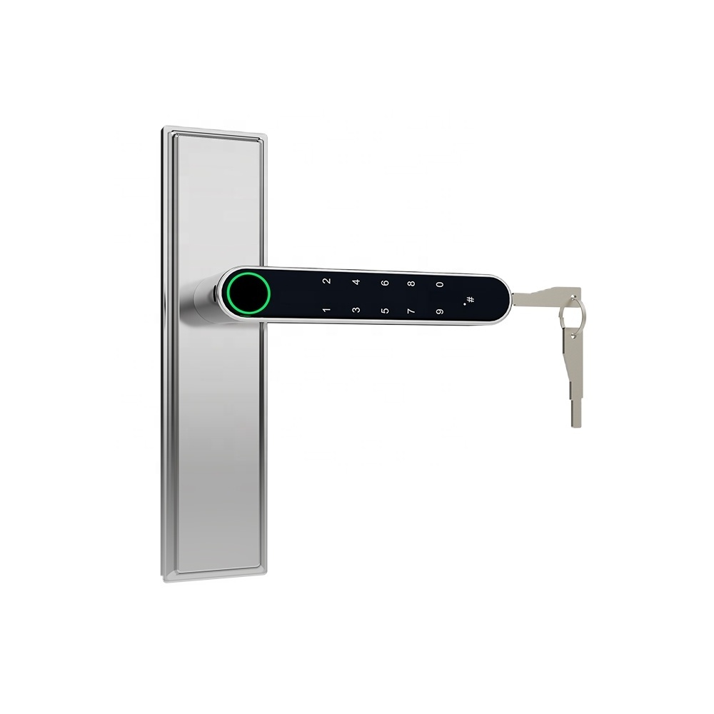 Handaily audio guide zinc alloy shipping container secureye password key tuya handle fingerprint lock keyless door locks