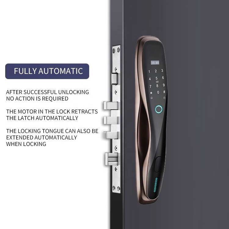 Factory price Tuya Zigbee smart lock automatic home electronic locks fingerprint door lock