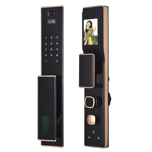 Smart Life Fingerprint Password Smart Door Lock App Control Intelligent Indoor Biometric Fingerprint Door Lock