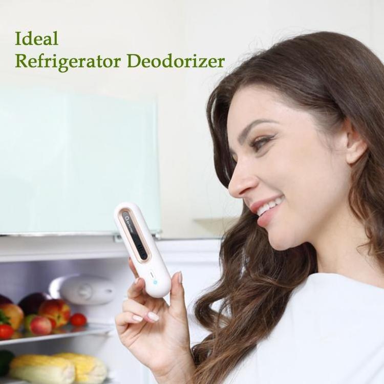 Fridge Deodorizer USB Mini Fridgerator Deodorizer Odor Eliminator Ozone Generator Reusable for Car Closet Wardrobe Toddler Toy