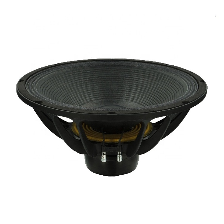 Outdoor & Indoor 1500W 18 Inch Neo Magnet Subwoofer