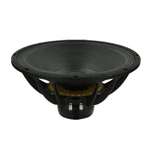 Outdoor & Indoor 1500W 18 Inch Neo Magnet Subwoofer