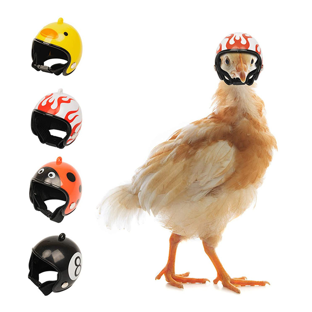 Chicken Pet Protective Gear Sun Rain Protection Helmet Toy Bird Hens Small Pet Supplies Costumes AccessoriesHelmet