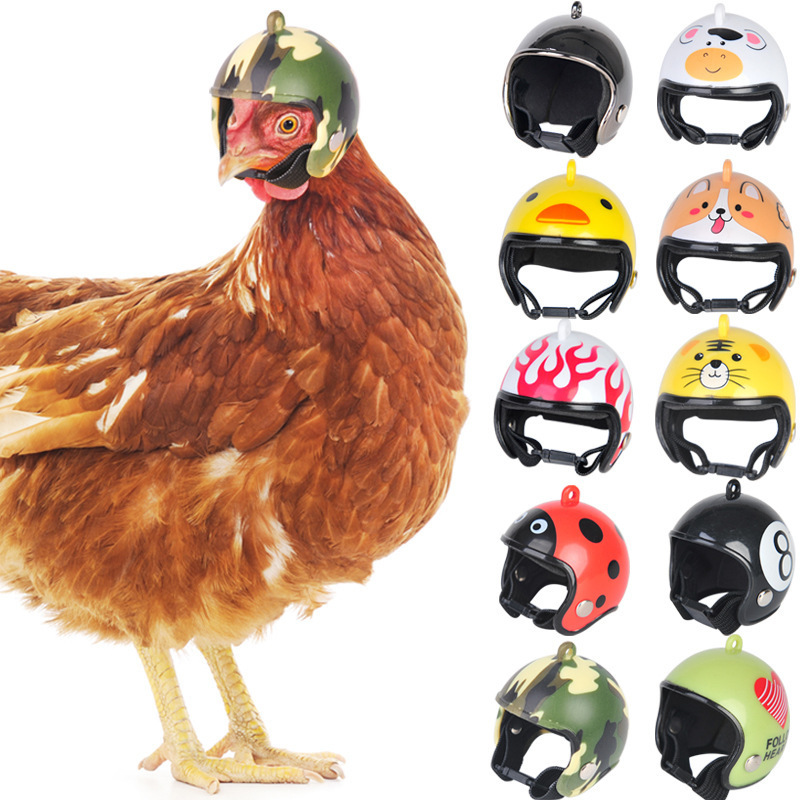 Chicken Pet Protective Gear Sun Rain Protection Helmet Toy Bird Hens Small Pet Supplies Costumes AccessoriesHelmet