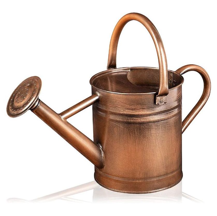 High Quality Gold Metal Watering Can fancy design for outdoor and indoor plants flowers watering can Home Garden bulk quantity