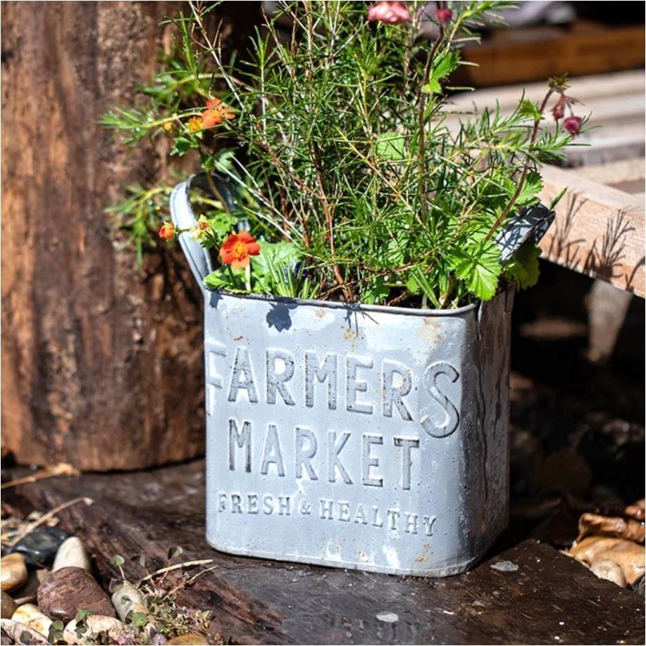 Pots Planter Metal Iron Handmade Galvanized Outdoor And Indoor Decorative Flower Planter For Home Garden Decor Restaurant Hotel