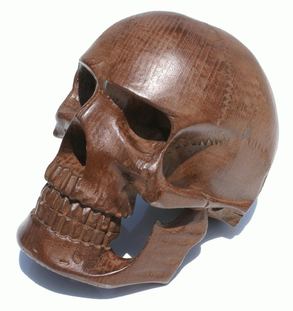 Wooden Skull Head Hand Carved Handmade Sculpture Decorative Carving Full Natural Size, Ecuador Art