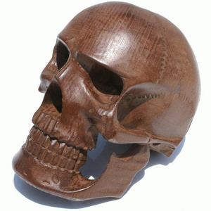 Wooden Skull Head Hand Carved Handmade Sculpture Decorative Carving Full Natural Size, Ecuador Art